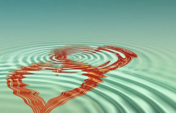 Rajbet Cazino Cazinou Suport